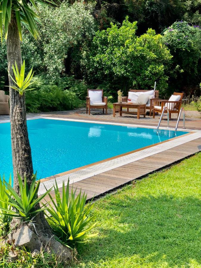 Gialos Villas 1-2 With A Private Pool Mikros Gialos Exterior foto